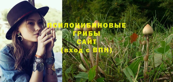 кокс Дмитров