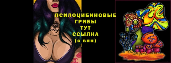 кокс Дмитров