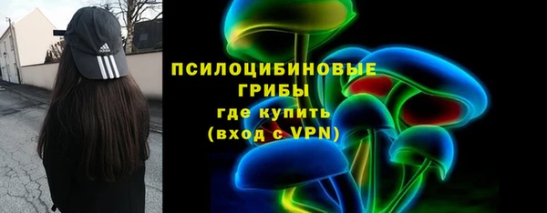 кокс Дмитров