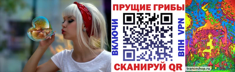 Галлюциногенные грибы Magic Shrooms  Купить где  Карачев 